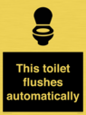 this-toilet-flushes-automatically~